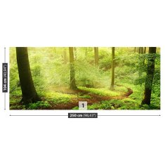 tulup.si Fototapeta Meglenih gozdov Samolepilne 250x104 cm