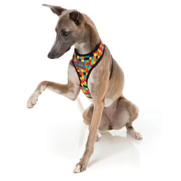 Fuzzyard oprsnica 1983