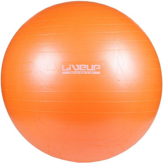 LiveUp Gimnastična žoga Anti-burst 65 cm LiveUp