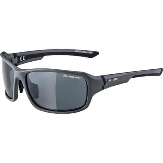 Alpina Sports Lyron Q kolesarska očala