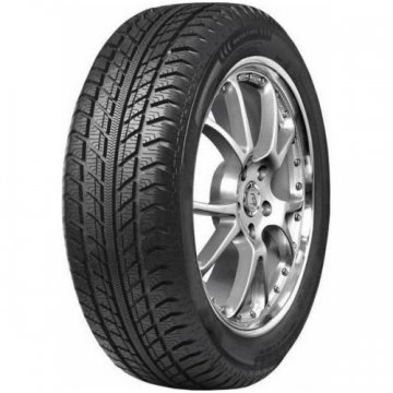 Austone zimske gume 225/65R16C 112/110R Skadi SP-902 EV 3PMSF
