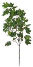 Shishi Podružnica z javorjevimi listi, višina 160cm