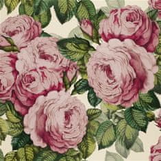 JOHN DERIAN Ozadje ROSE TUBEROSE, kolekcija PICTURE BOOK PAPERS