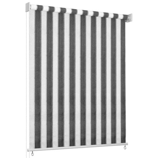 Greatstore 312692 Outdoor Roller Blind 60x230 cm Anthracite and White Stripe