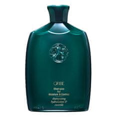 Oribe Vlažilni šampon za valovite in skodrane lase (Shampoo for Moisture & Control) (Objem 250 ml)