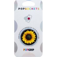 PopSockets PopGrip držalo/stojalo, Seed Money