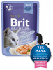 Brit Premim fileji lososa v želeju, za mačke, 85 g, 24 kos