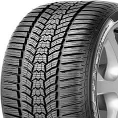 Sava zimske gume 205/55R17 95V Eskimo HP 2 XL 3PMSF
