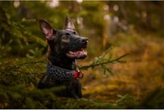 RUKKA PETS Neoprenska ovratnica CUBE SOFT S Črna