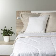 Vitapur Victoria's Silk celoletna svilena odeja, 250x200 cm