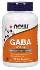 NOW Foods GABA (gama-aminobutirna kislina) 500 mg + 2 mg vitamina B6, 200 kapsul
