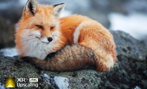 Poustvarjanje izgubljene teksture, pameten način