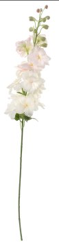 Shishi Svetlo roza cvet Delphinium, višina 95 cm