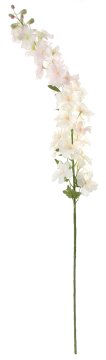 Shishi Svetlo roza cvet Delphinium, višina 130 cm