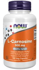 NOW Foods L-karnozin, 500 mg, 100 rastlinskih kapsul