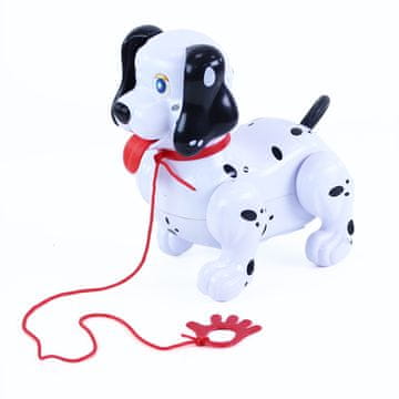 Zaparevrov Sprehajanje psa s povodcem, Rappa