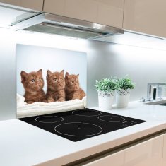 tulup.si Steklena podloga za rezanje Mačke na brisačo 60x52 cm