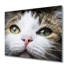 tulup.si Steklena podloga za rezanje Green mačje oči 2x30x52 cm