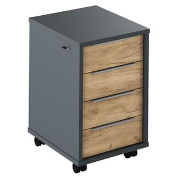 KONDELA Rioma New Type 30 kontejner na kolesih