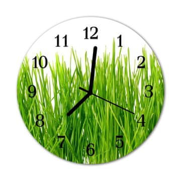 tulup.si Steklena okrogla ura Grass fi 30 cm Črne kazalke