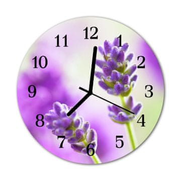 tulup.si Steklena okrogla ura Lavender fi 30 cm Črne kazalke