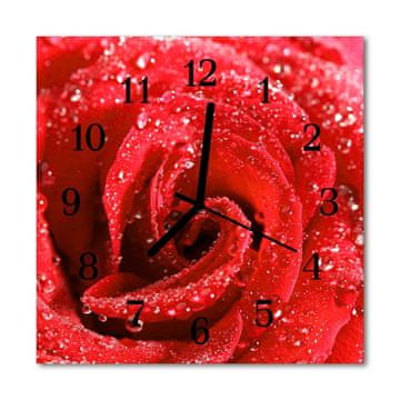 tulup.si Steklena kvadratna ura Rose 30x30 cm Črne kazalke