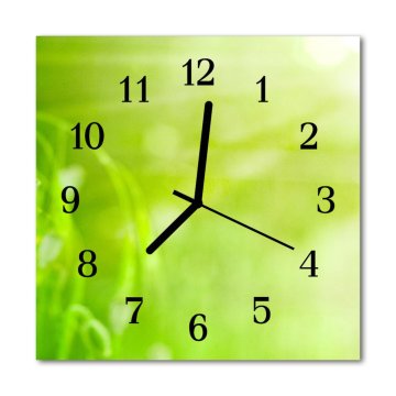 tulup.si Steklena kvadratna ura Grass 30x30 cm Črne kazalke