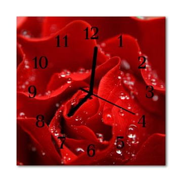 tulup.si Steklena kvadratna ura Rose 30x30 cm Črne kazalke