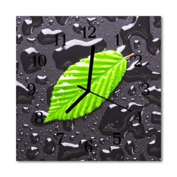 tulup.si Steklena kvadratna ura List 30x30 cm Črne kazalke