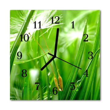 tulup.si Steklena kvadratna ura Grass 30x30 cm Črne kazalke
