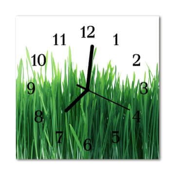 tulup.si Steklena kvadratna ura Grass 30x30 cm Črne kazalke