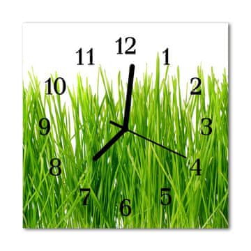 tulup.si Steklena kvadratna ura Grass 30x30 cm Črne kazalke