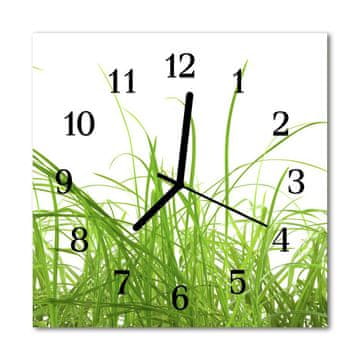 tulup.si Steklena kvadratna ura Grass 30x30 cm Črne kazalke