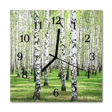 tulup.si Steklena kvadratna ura Birch 30x30 cm Črne kazalke
