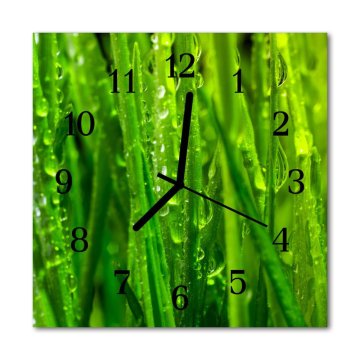 tulup.si Steklena kvadratna ura Grass 30x30 cm Črne kazalke