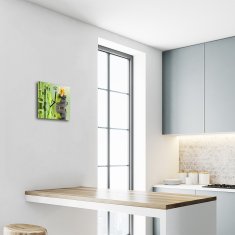 tulup.si Steklena kvadratna ura Spa kamni 30x30 cm Črne kazalke