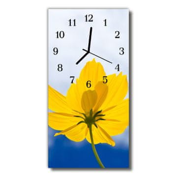 tulup.si Steklena navpična ura Cvetje barva cvetov 30x60 cm Črne kazalke