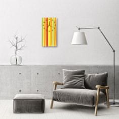 tulup.si Steklena navpična ura Grafike obarvani trakovi 30x60 cm Črne kazalke