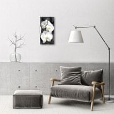 tulup.si Steklena navpična ura Bele orhideje 30x60 cm