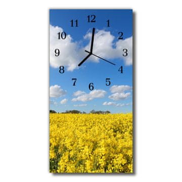 tulup.si Steklena navpična ura Pokrajine barva polje 30x60 cm Črne kazalke