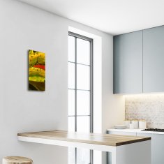 tulup.si Steklena navpična ura Barva art 30x60 cm Črne kazalke