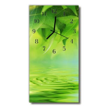 tulup.si Steklena navpična ura Narava green leaves vode 30x60 cm Črne kazalke