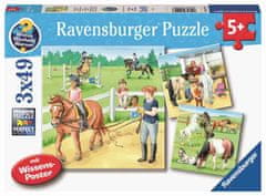 Ravensburger Jahalna šola, konjušnica, pašnik, 3 x 49 kosov