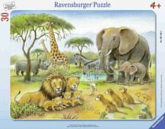 Ravensburger sestavljanka Afriške živali, 30 delov (6146)
