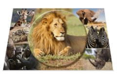 Herma podloga za mizo, 55 x 35 cm, Afriške živali