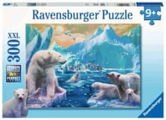 Ravensburger sestavljanka Polarni medvedi, 300 kosov