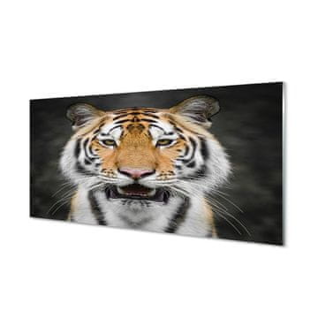 tulup.si Steklena slika Tiger 2 obešalnika