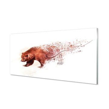 tulup.si Slika na akrilnem steklu Bear 2 obešalnika