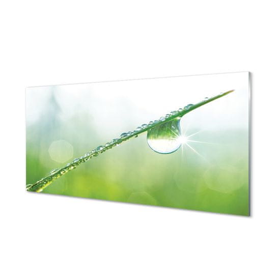 tulup.si Slika na akrilnem steklu Drop trava makro