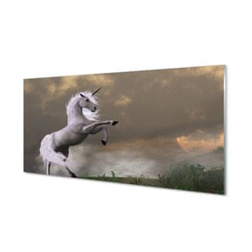 tulup.si Slika na akrilnem steklu Unicorn vrh 2 obešalnika